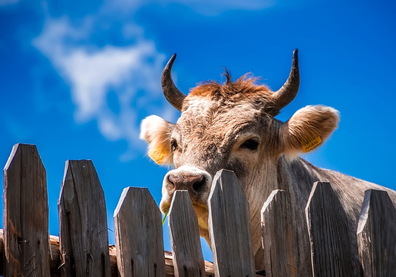 依存症を治すには