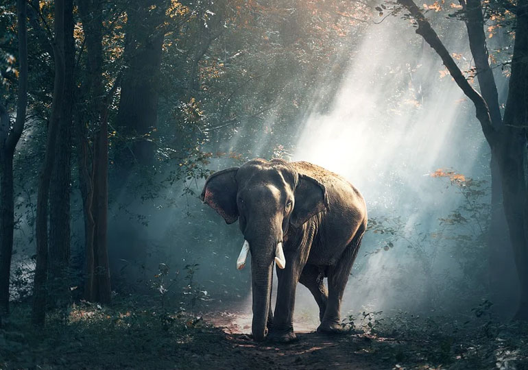 サーバントリーダーシップとは